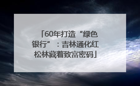 60年打造“绿色银行”：吉林通化红松林藏着致富密码