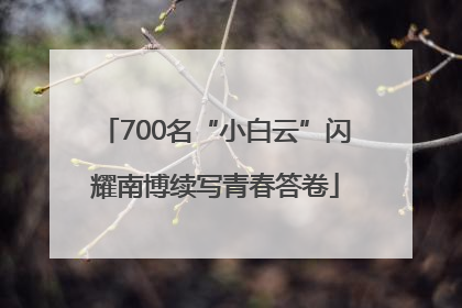 700名“小白云”闪耀南博续写青春答卷
