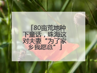 80亩荒地种下童话，珠海这对夫妻“为了家乡我愿意”
