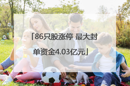 86只股涨停 最大封单资金4.03亿元