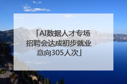 AI数据人才专场招聘会达成初步就业意向305人次