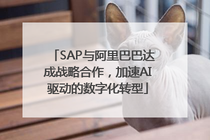 SAP与阿里巴巴达成战略合作，加速AI驱动的数字化转型