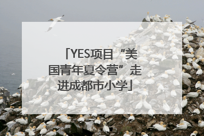 YES项目“美国青年夏令营”走进成都市小学